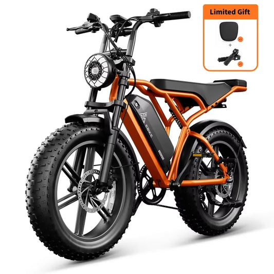R002 48V 750w 20x4.0 Fat Tire 15ah Lithium Battery 50km/h Max Speed Dual Motor Off Road Electric Motorcycle