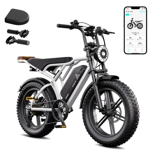 R002 48V 750w 20x4.0 Fat Tire 15ah Lithium Battery 50km/h Max Speed Dual Motor Off Road Electric Motorcycle