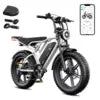 R002 48V 750w 20x4.0 Fat Tire 15ah Lithium Battery 50km/h Max Speed Dual Motor Off Road Electric Motorcycle