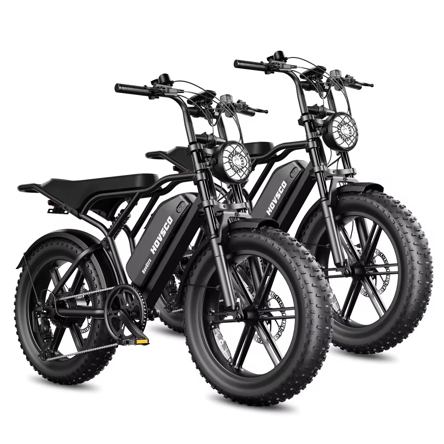 R002 48V 750w 20x4.0 Fat Tire 15ah Lithium Battery 50km/h Max Speed Dual Motor Off Road Electric Motorcycle