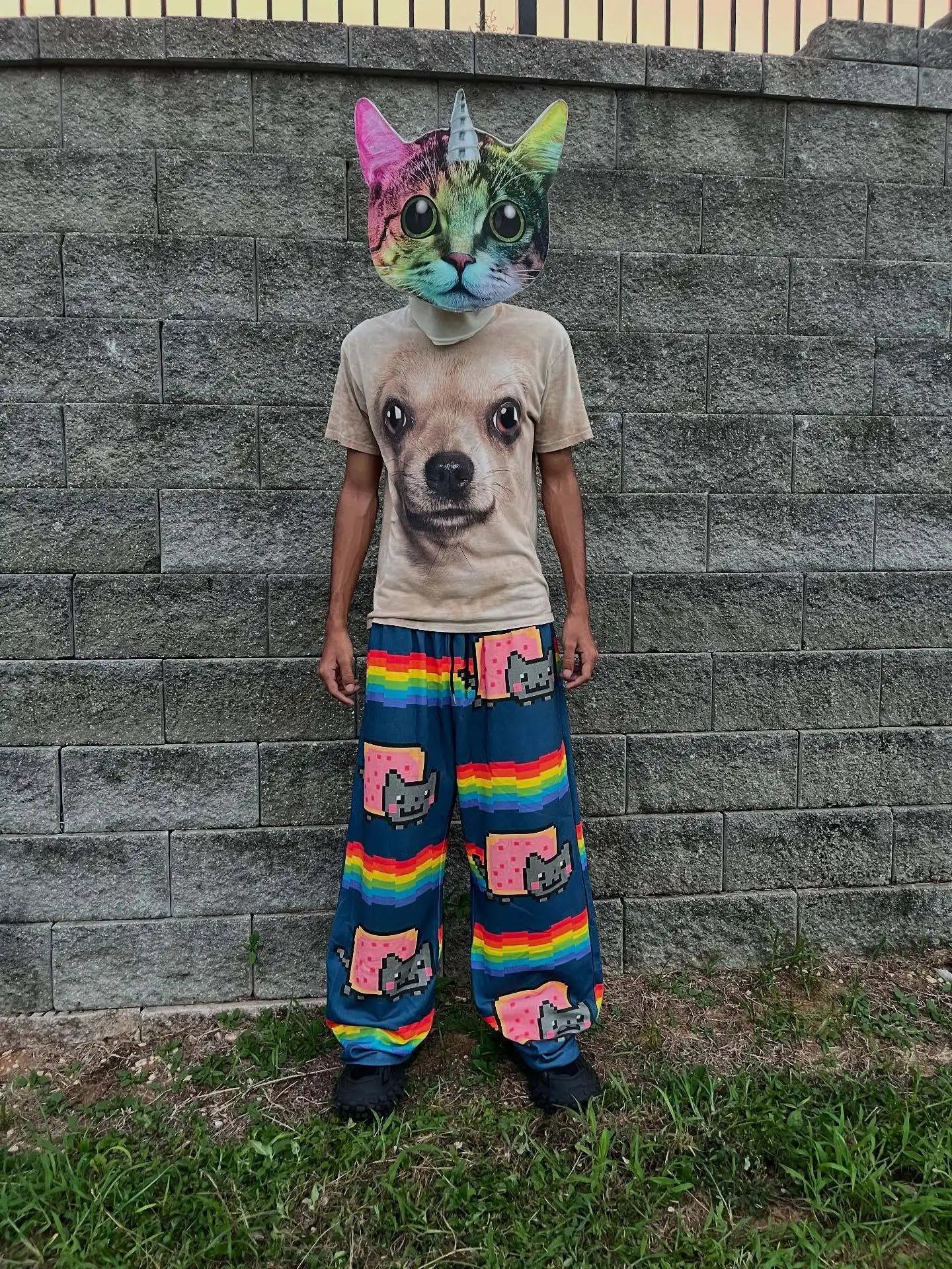 Nyan Cat Sweatpants Y2k Pants Baggy Men Elastic Waist American Streetwear Hip Hop Vintage Joggings Casual Pants Men Clothing